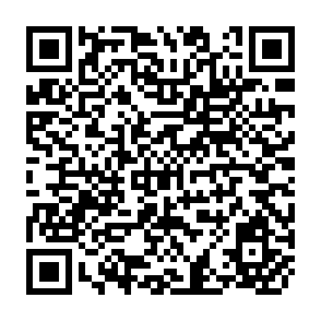 QR Code for MSSRF-FAO Expert Consultation on Science for Sustainable Food Security, Nutritional adequacy, and poverty Alleviation in the Asia- Pacific region