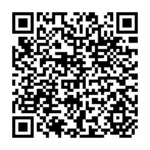 QR Code for States in the Global Economy: Bringing Domestic Institutions Back In
