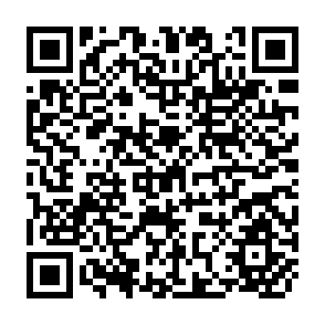 QR Code for Loggers and Degradation in the Asia-Pacific