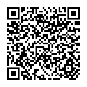 QR Code for Processing and Utilization of Legumes