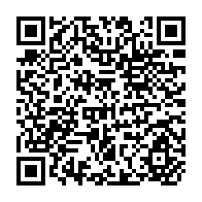 QR Code for Statistical Bulletin of SAARC Agricultural Data