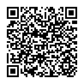 QR Code for Case Studies in Forest-Based Small Scale Enterprises in Asia : Rattan, Matchmaking and Handicrafts