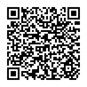 QR Code for African Voices on Structural Adjustment : A Companion to Our Continent, Our Future