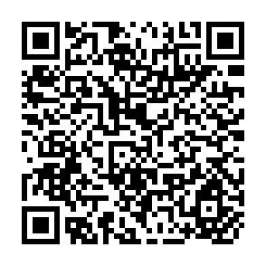 QR Code for The Dynamics of Institutional Change and Rural Development in Punjab, India