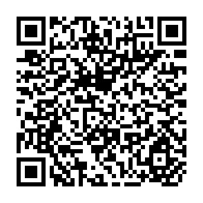 QR Code for Basic Democracies and Rural Development in Pakistan