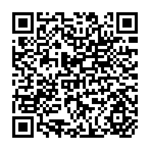 QR Code for The Emergence of Private Authority inGlobal Governance