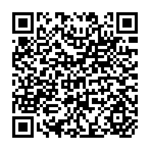 QR Code for Development Theory