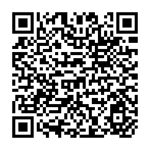 QR Code for Leading Issues in Economic Development