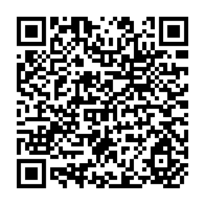 QR Code for Every Trainer's Handbook