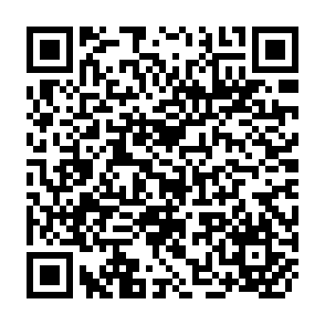 QR Code for How to conduct in-person interviews for surveys