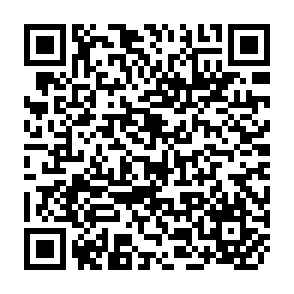 QR Code for How To Report On Surveys
