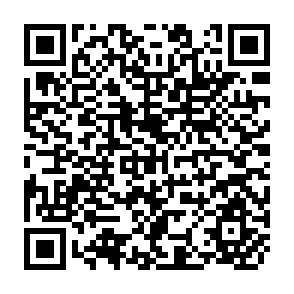 QR Code for Policies, Institutions and Industrial Development: Coping with Liberalisation and Internstional Competition in India