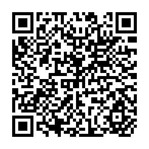 QR Code for The Dynamics of South Asia