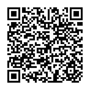 QR Code for Development Economics - Nature and Significance