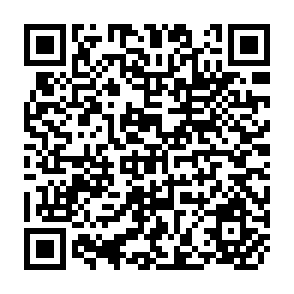 QR Code for Structural Adjestments, Global Trade and the New Political Economy of Development