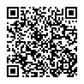 QR Code for The puzzle of social capital a critical view