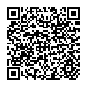 QR Code for World Development Report 2004