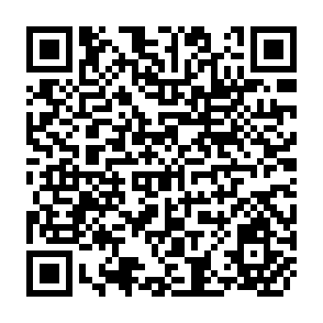QR Code for Technical Fixes and Social Relations the Case of Group Farming in Kerala, India