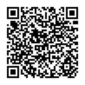 QR Code for Social Capital: What is in it for Feminist Economics?