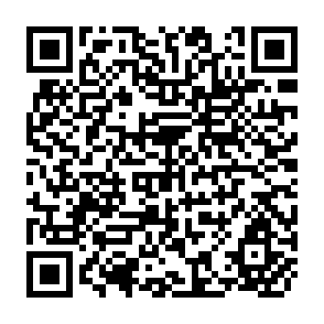 QR Code for The Scope For Fiscal Policy; With Examples From Thailand