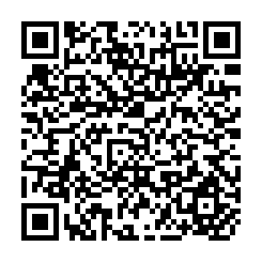 QR Code for Working Papers For and Against the Grain: Politics of rice in Kerala,India