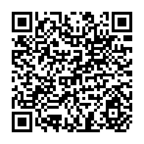 QR Code for Global Capital and National Governments