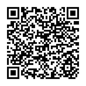 QR Code for Migratory Fishes of South America