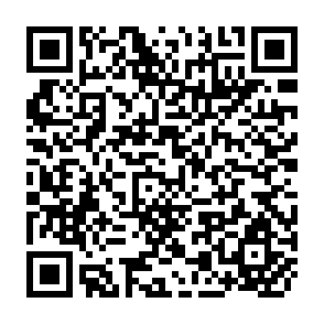 QR Code for Organic Food Products