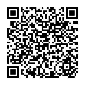 QR Code for The Limits of Capitalism