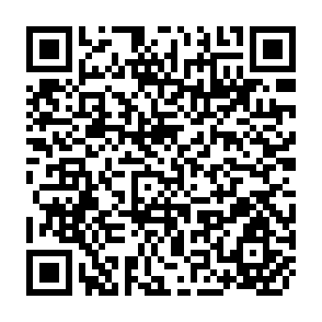 QR Code for Palestine/Israel: Peace or Apartheid- Occupation, Terrorism and the Future