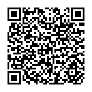 QR Code for World Development Report 2004