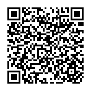 QR Code for Rural Development Report 1999