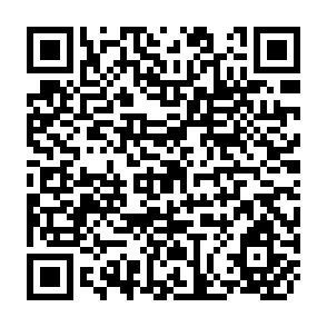 QR Code for Asian Financial Crisis and South Asia