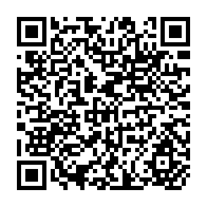 QR Code for Land Titling and Local Economic Development: The Missing Link? Evidence from Two Squatter Settlements in Lima, Peru