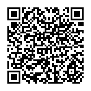QR Code for India Uttar Pradesh Agricultural Credit Project