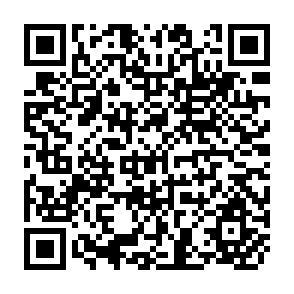 QR Code for Mainstreaming Informal Employment and Gender in Poverty Reduction
