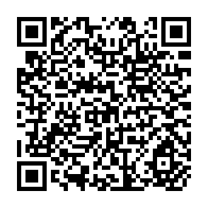 QR Code for The Mismeasurement of Economic Growth