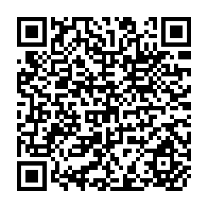 QR Code for Structural Economics