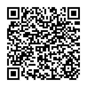 QR Code for Afirica and Asia Can High Rates of Economic Growth Be Replicated