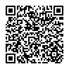 QR Code for The God of Small Things