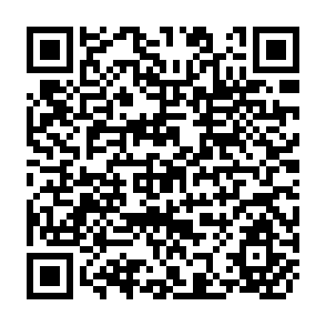 QR Code for Development Planning