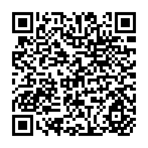 QR Code for Development Theory