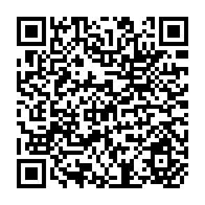 QR Code for Sustainable Strategic Management