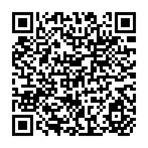 QR Code for Forests for Poverty Reduction