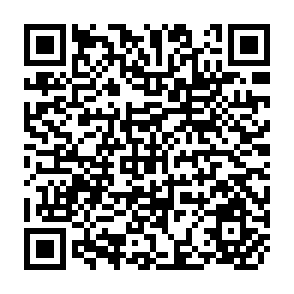 QR Code for Waves of Hope
