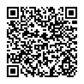 QR Code for Toward Pro-Poor Policies Aid,Institute, and Globalization