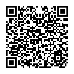 QR Code for Accelerating Development