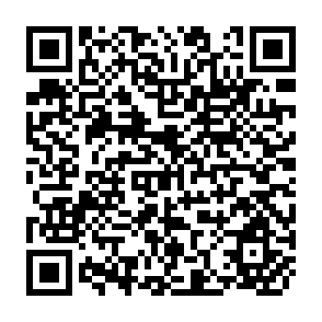 QR Code for World Development Report 2005