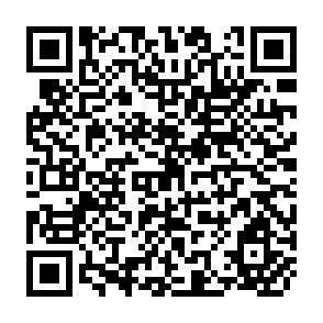 QR Code for Proceedings of the Workshop Forests for Poverty Reduction: Changing Role for Research, Developemnt and Training Institute