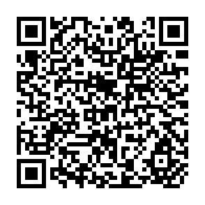 QR Code for Agricultural Trade Reform and the Doha Development Agenda